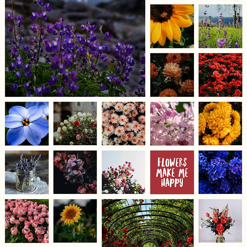 Tuinposter Bloemen in collage van kleurrijke bloemfoto’s, Instawall Prints