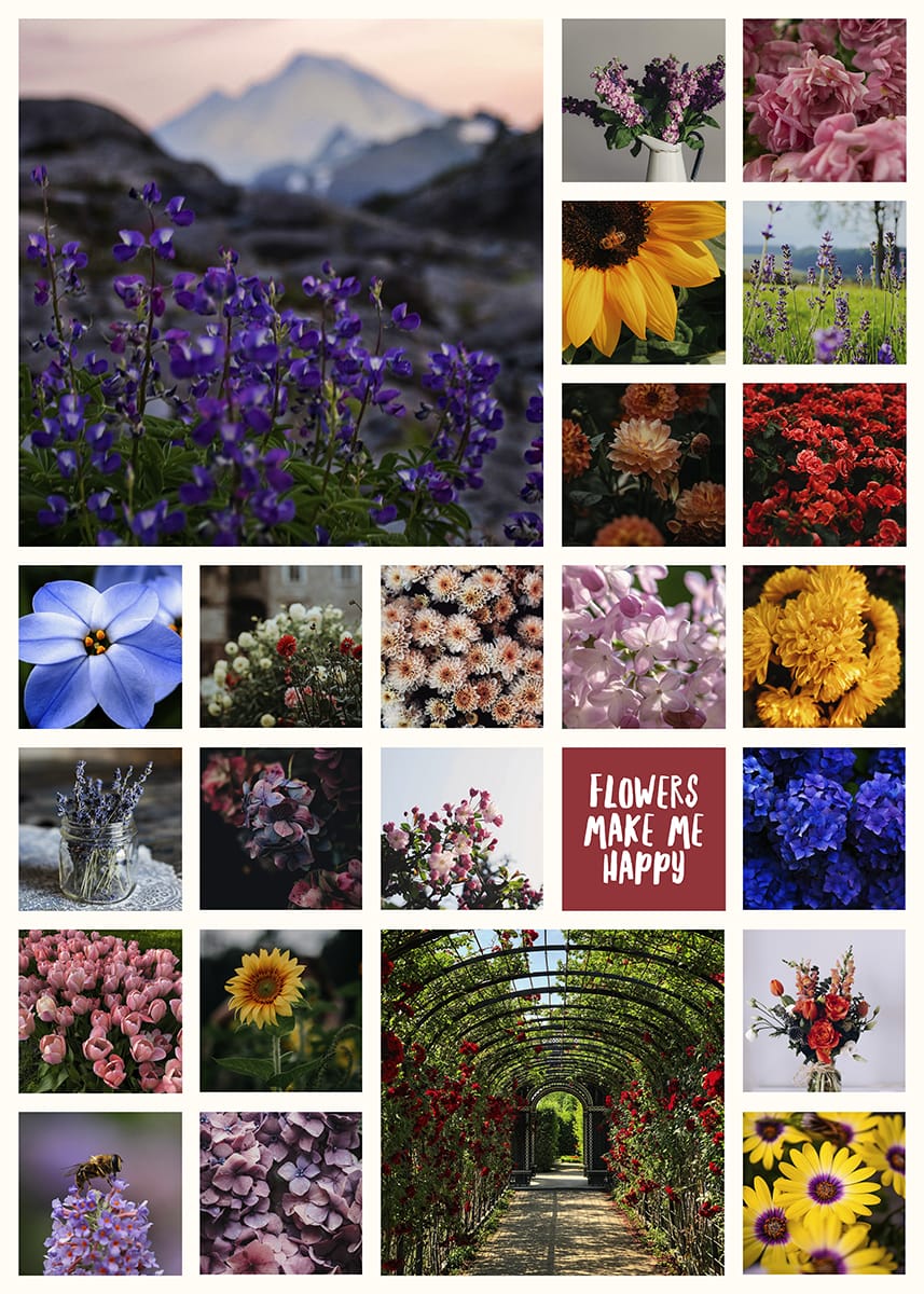 Tuinposter Bloemen in collage van kleurrijke bloemfoto’s, Instawall Prints