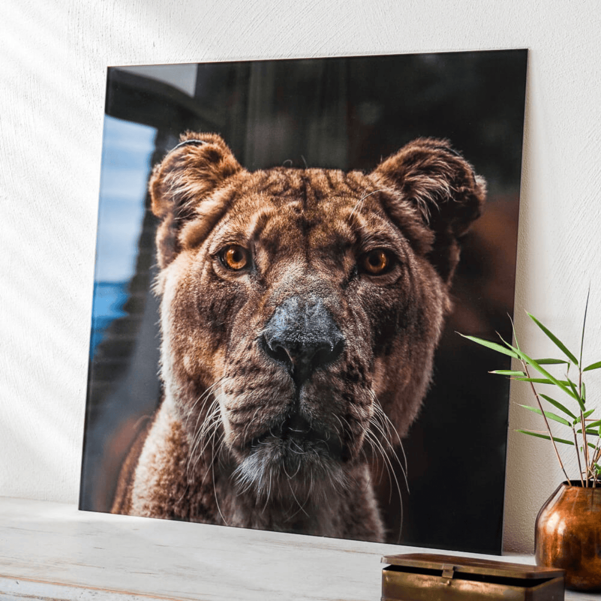 Print op glas Print op glas Instawall Prints