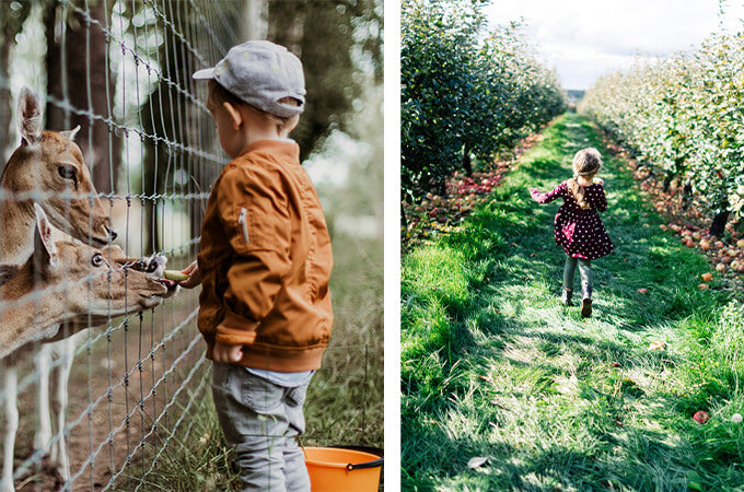 3 zomerse fotoprojecten met kinderen