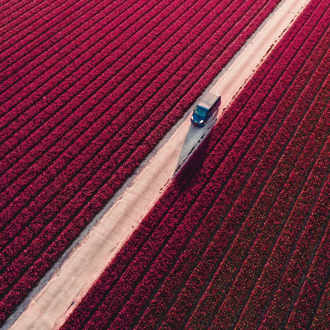 Drone fotografie: Ontdek Nederland van boven