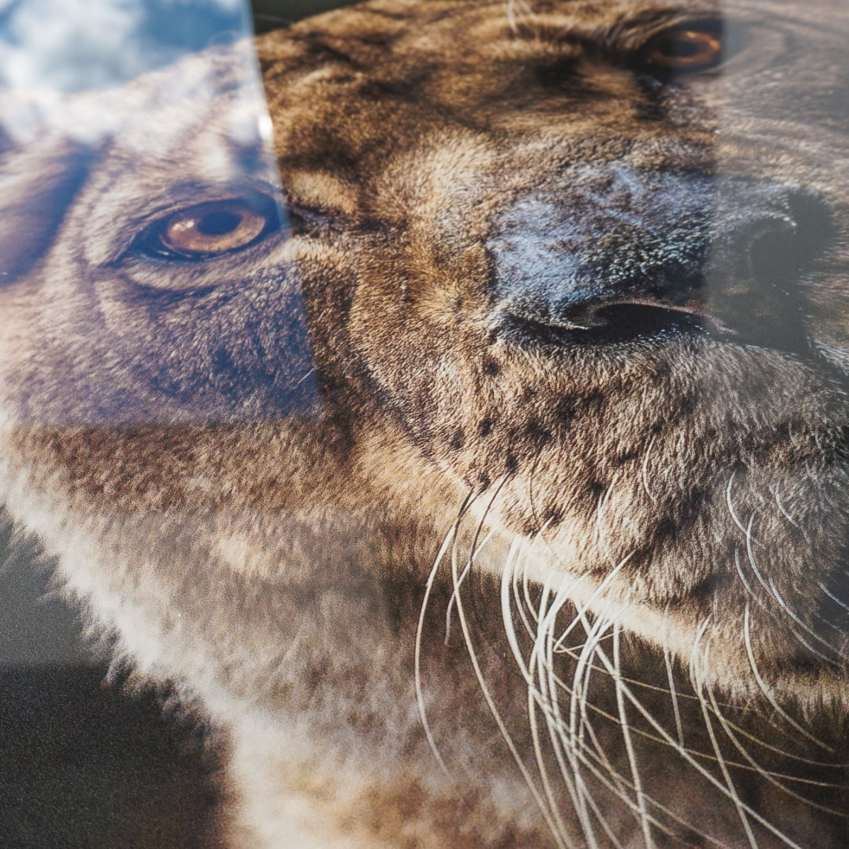 Fotovergroting Glas Portrait | 3:4 Fotovergroting Glas Instawall Prints   